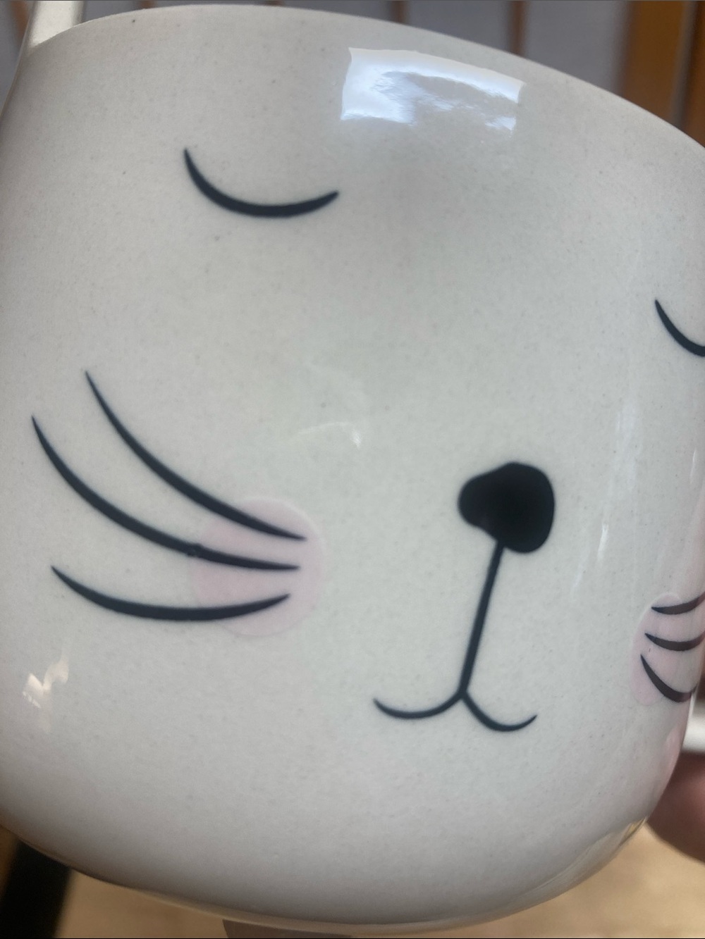 Cat Mug Best Friends Collection - Picture 8 of 9